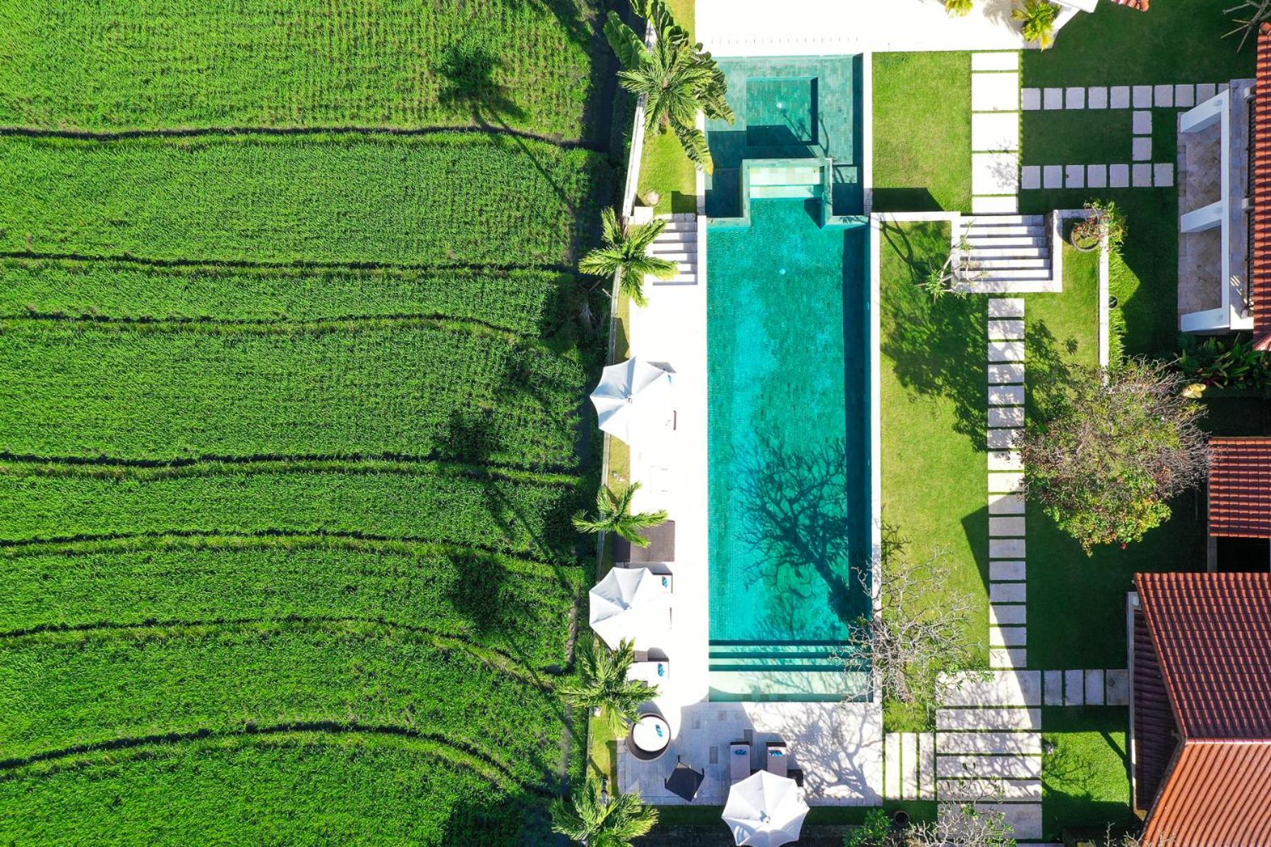 Villa Manis Canggu Dış mekan fotoğraf